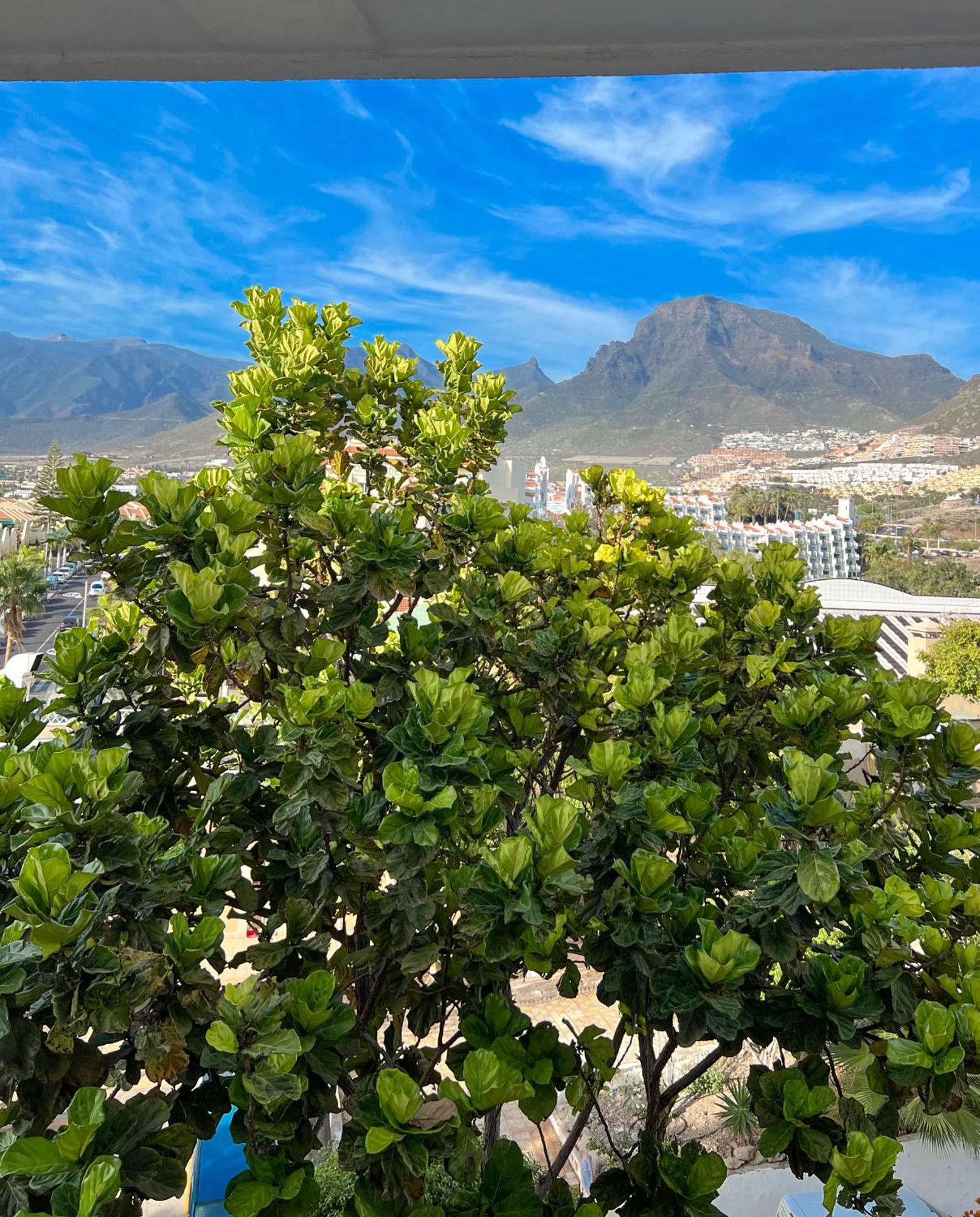 Tenerife Paradise Anna Studio 阿德耶 外观 照片